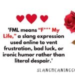 FML Meaning in Text: Complete Guide to Usage, Examples, and Context
