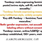 Femboy vs Tomboy: What's the Real Difference?