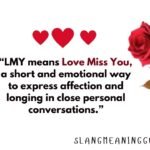 LMY Meaning in Text: The Complete Guide to This Popular Slang Term LMY Meaning in Text: The Complete Guide to This Popular Slang Term