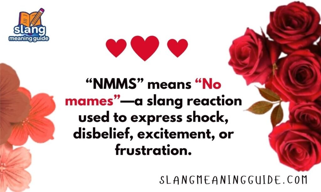 NMMS Meaning in Text: The Complete Guide to Understanding This Popular Slang