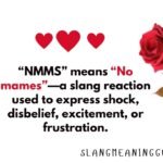 NMMS Meaning in Text: The Complete Guide to Understanding This Popular Slang