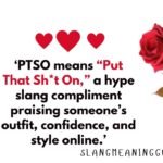 PTSO Meaning in Text: What It Means on TikTok, Chat & More