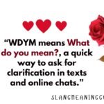WDYM Mean: Complete Guide to Texting, Slang & Online Chats