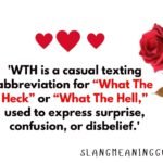 WTH Meaning in Text: A Complete Guide to Usage, Context, and Examples