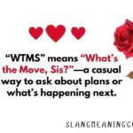 WTMS Meaning in Text: The Complete Guide to Understanding This Popular Slang