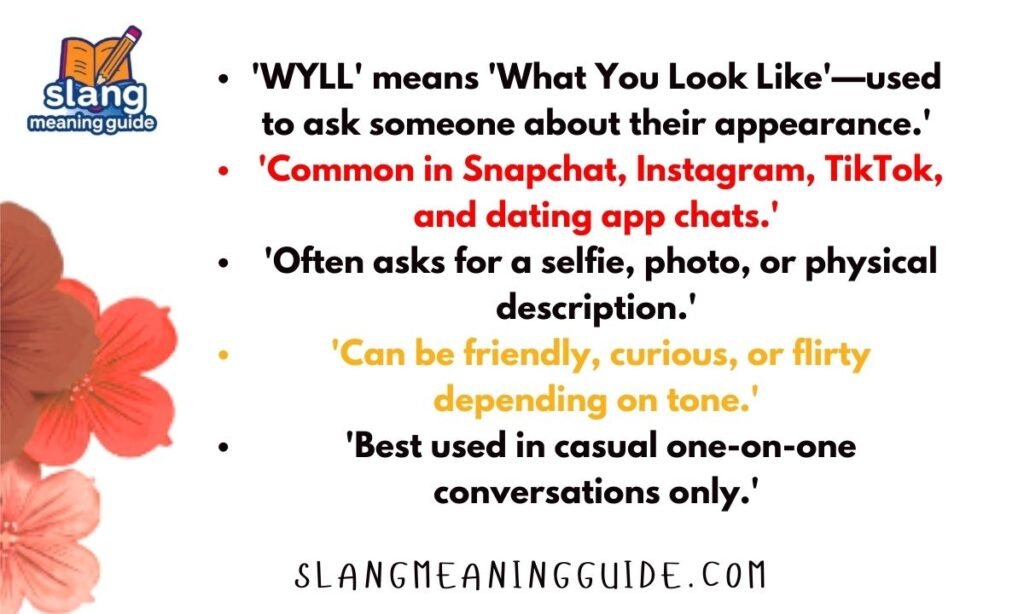 What Does WYLL Mean in Text? Full Guide