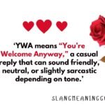 YWA Meaning in Text: What It Really Means in Chat, Snapchat & Social Media