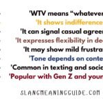WTV Slang Meaning: What Does WTV Mean in Text & Chat?