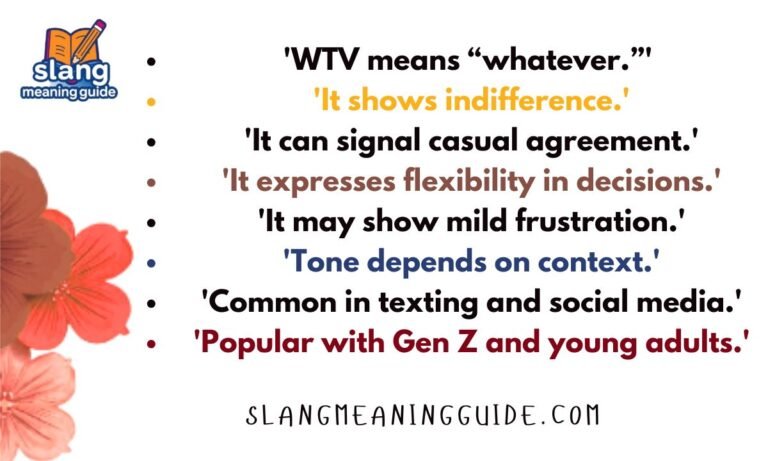 WTV Slang Meaning: What Does WTV Mean in Text & Chat?