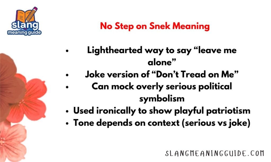 No Step on Snek Meaning What It Really Means and Where It Came From