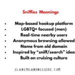 Sniffies Meaning: What the Name Really Stands For and How the Platform Works