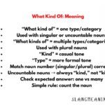 What Kind Of: Meaning, Rules, and Real Examples (2026)