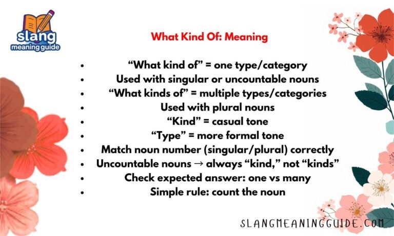 What Kind Of: Meaning, Rules, and Real Examples (2026)