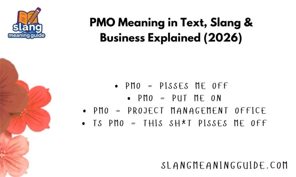 PMO Meaning in Text, Slang & Business Explained (2026)